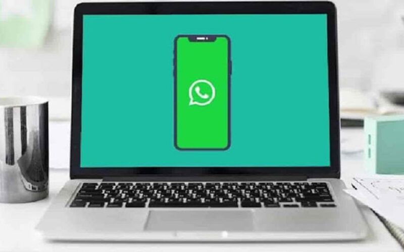 Use o WhatsApp para negócios de forma rápida e eficiente